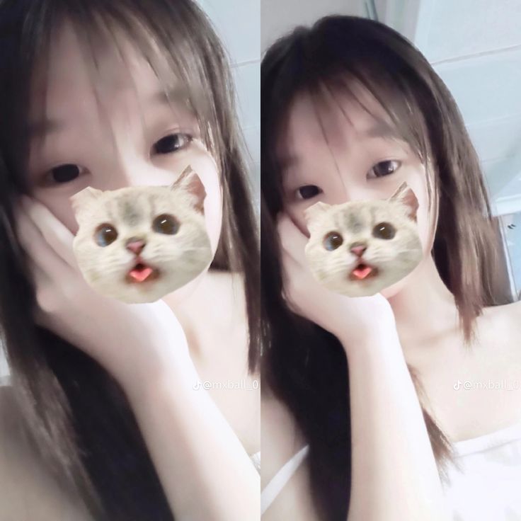 elgatocatto.jpg